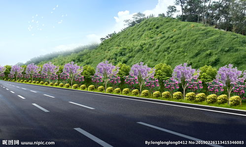 高速公路边坡绿化的重要性