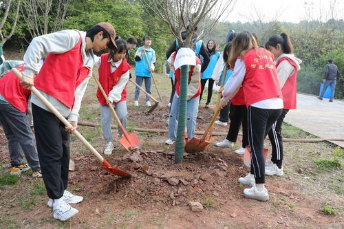 种树的益处：大自然的恩赐