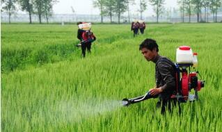 百太农药杀菌剂：效果揭秘与使用秘诀