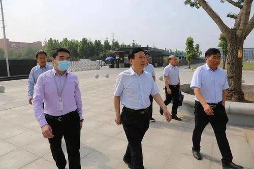 沙藏法的详细操作：河沙湿度捏成团不滴水