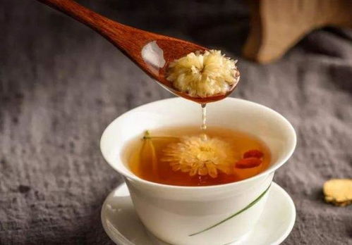 蜂蜜菊花茶能一起泡水喝吗？这样搭配营养更丰富