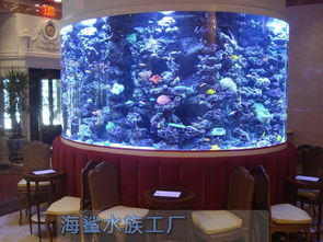 适合鱼缸的紫色植物有哪些？如何搭配水族环境以营造和谐生态
