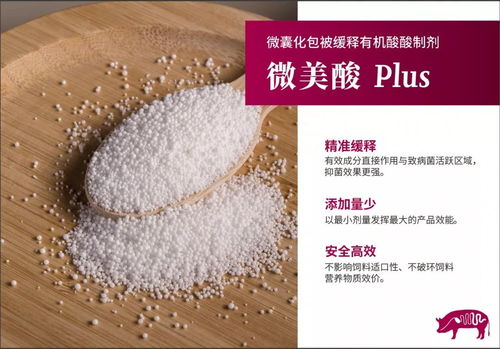 饲料中添加苯甲酸对动物生长有何具体影响？