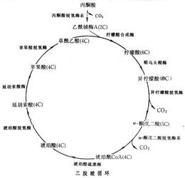 1. 环保又省钱