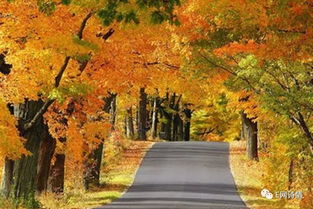 种植参数：让花儿茁壮成长