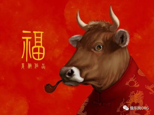 属牛旺财植物推荐：招财旺运植物盘点