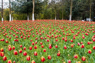 第三美景：荔波小七孔