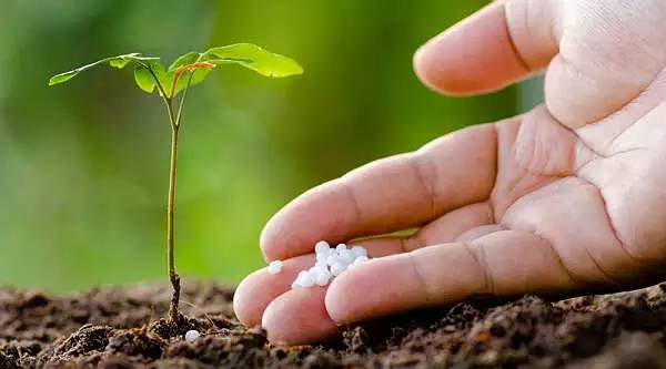 果园土壤有机质的重要性