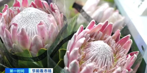 云南鲜切花物流费用大揭秘