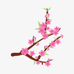 秋季绽放的粉色花卉：探索秋天盛开的粉红花朵