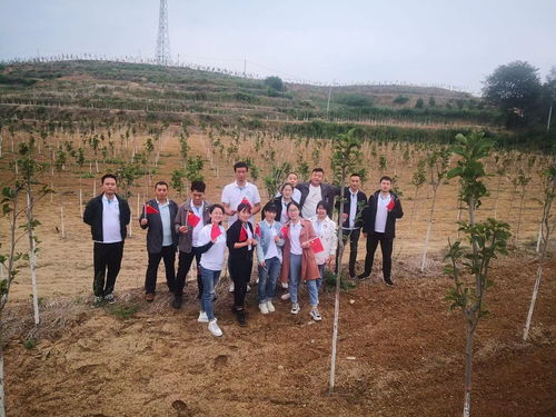 产业链的延伸， 就业的机会