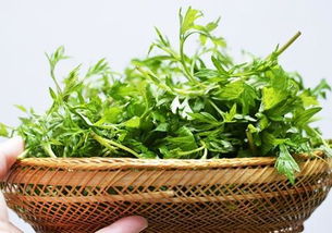 艾草生姜花椒泡脚，缓解疲劳效果如何