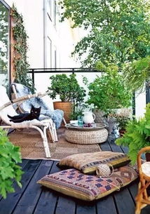 虹桥花友群的茉莉小姐的绝招