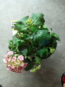 原因三：温度不适