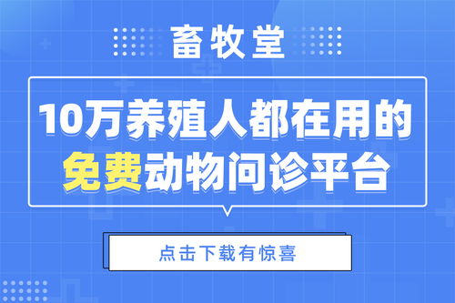 如何制定全面的预防策略来有效预防猪5号病的发生和传播？
