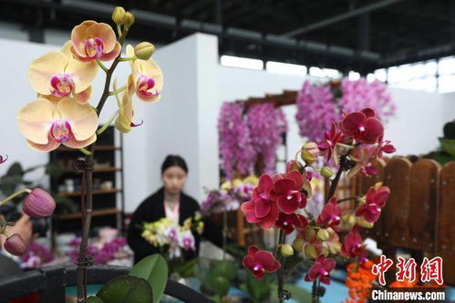 春、 夏、秋三季的绿色画卷