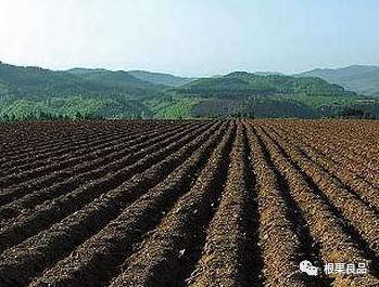 新土堰堤外种植抗冲刷草品种探讨