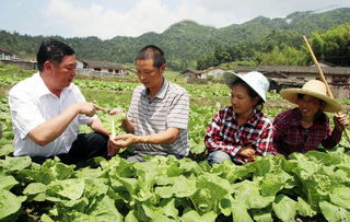 解决含砷农药问题的对策