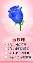 蓝色玫瑰花语：唤起对海洋之歌的回忆与向往