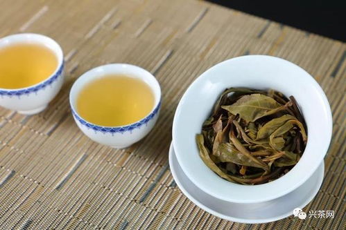 陆郎黄龙砚茶价格一览：野春姑茶叶多少钱一袋？