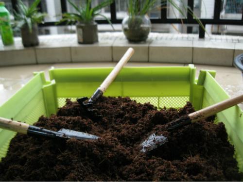 种植杏仁，土壤也重要