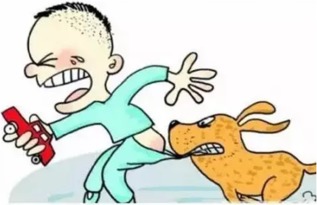 二、三天急救法，嫩提升成活率70%吗？