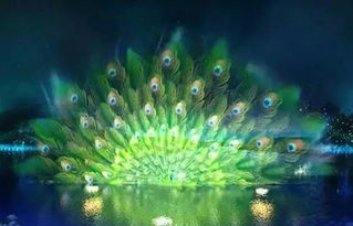 揭秘三款创意花卉设计，打造视觉盛宴！