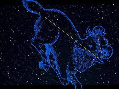 双：爱情如十二星座