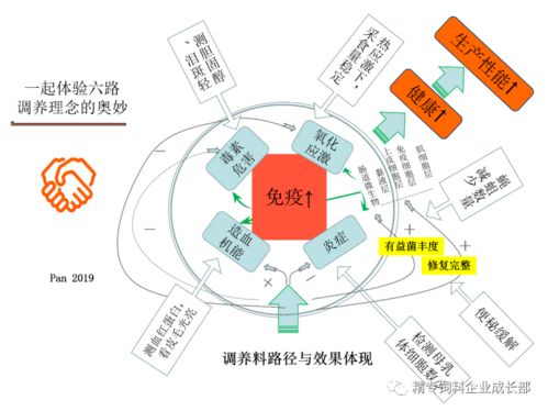 育混料中添加哪些营养成分对猪只生长性能有显著提升？