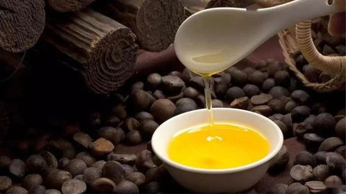 山茶油饮用指南：最佳饮用时机揭秘