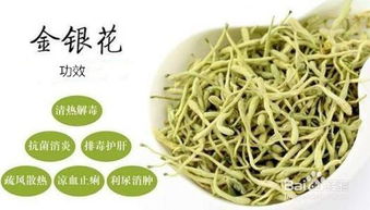 金银花烘干技巧：三种方法，总有一款适合你！