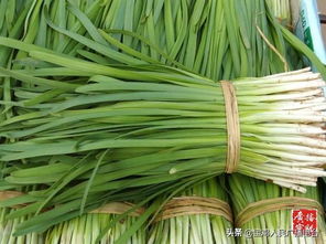 毒死蜱和氧乐果， 凶险农药