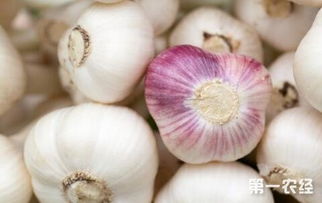 温度控制是关键