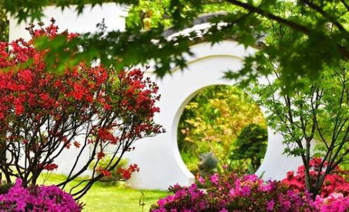 三、 植物配置：绿树成荫，层次分明