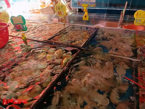 探索螃蟹市场价：揭秘海鲜交易中的经济动态