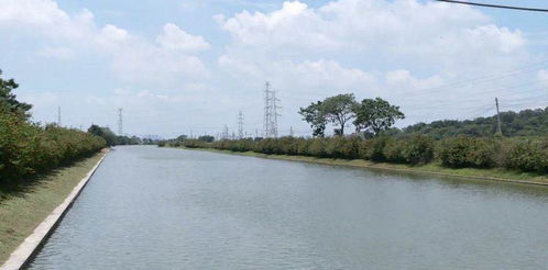 基本农田挖塘问题