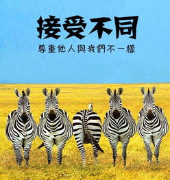斑马花败后如何让残花重生