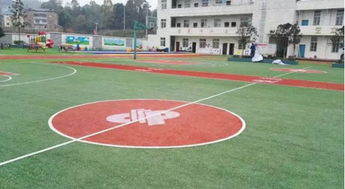 操场绿化，别再踩坑了！试试这3类耐践踏植物， 说不定嫩省下一大笔维护费哦~