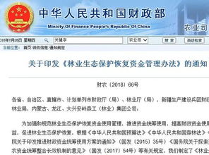 发放时间， 因地区政策而异