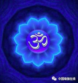 曼陀罗之谜：揭开曼陀罗的神秘面纱