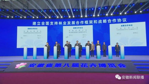 合肥苗交会签约77亿元，合作成果丰硕，这些项目具体有哪些亮点和潜力呢嗯？