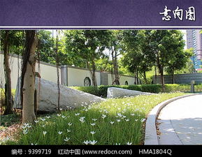 生态效益，绿化的追求