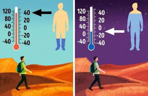 第二要素：光照控制