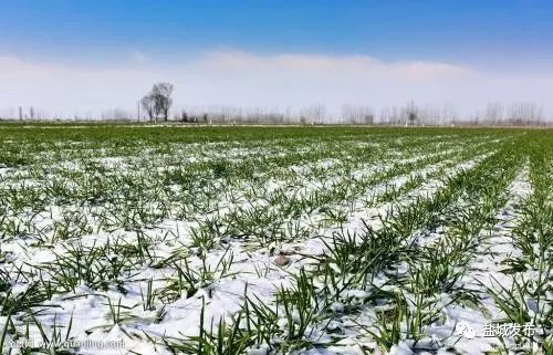 重点操作清单：