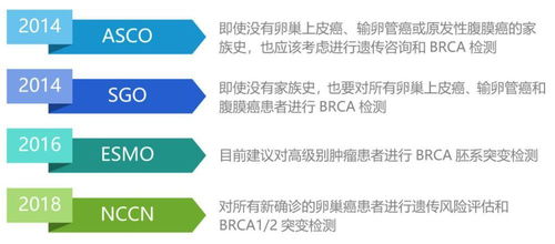 饲料密度如何精准控制，以优化生产储存关键指标？