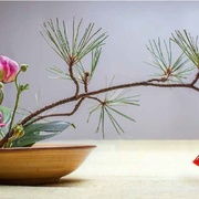 插花中的叶子处理