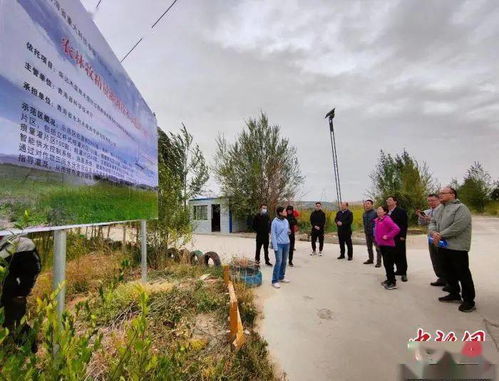 地膜土豆与胡萝卜种植技术，探讨高效利用地膜提高产量与品质的方法