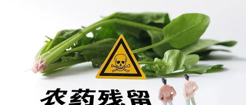 现代人越来越健康