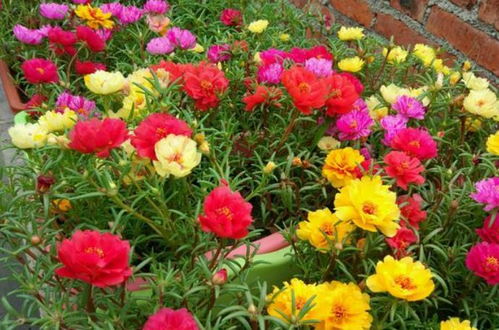 省农科院监测发现