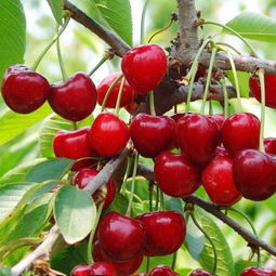 乱七八糟的成本核算